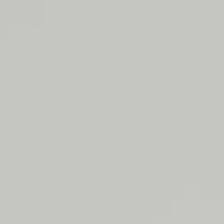 Light Grey Ultra Matt