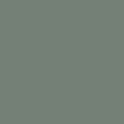 Reed Green (Plain Colour)